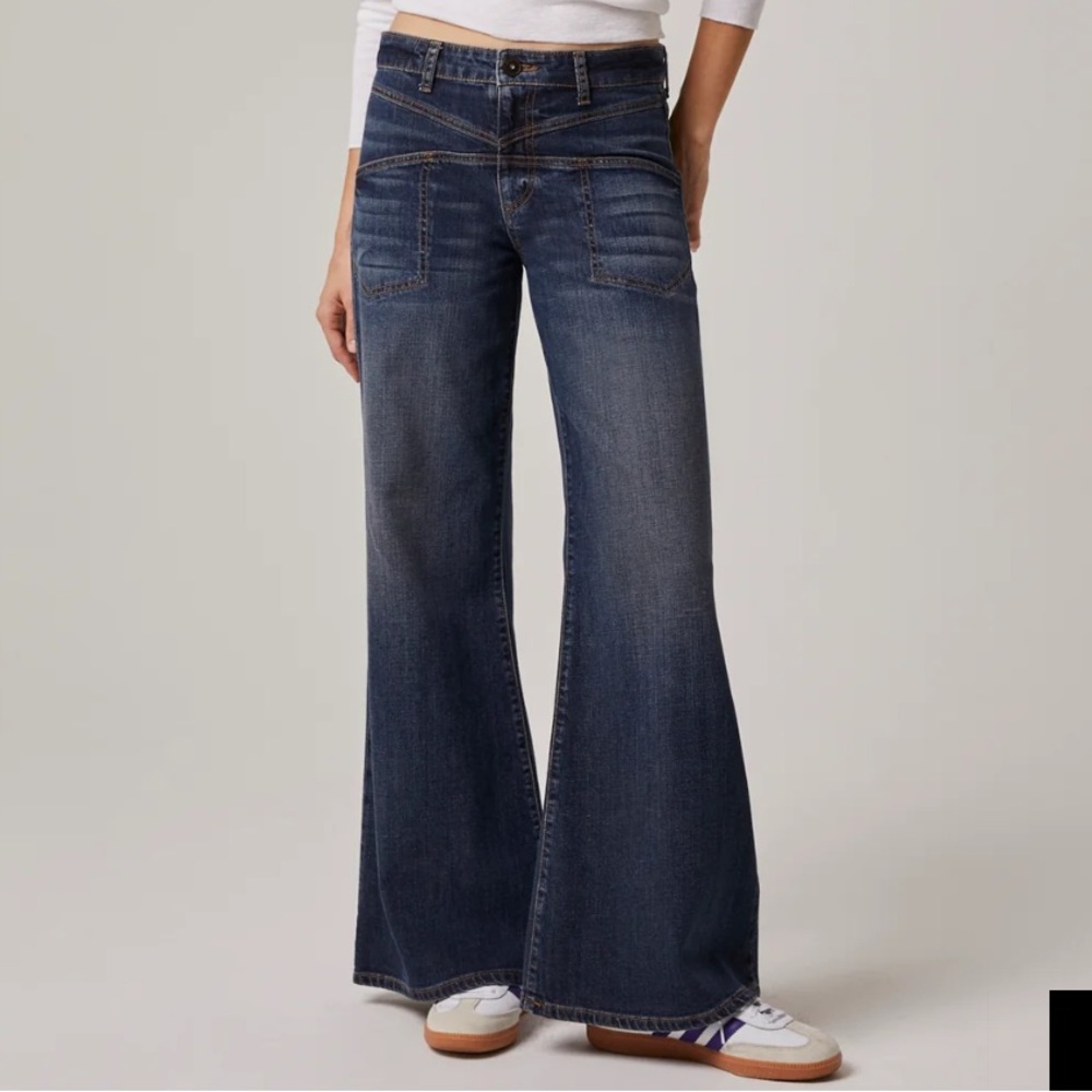 edyson Cary High Rise Wide Leg Jeans size 26X29